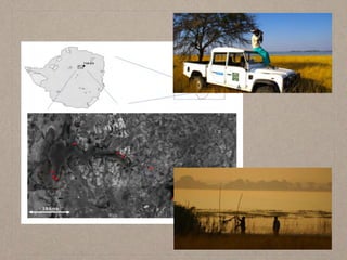 Disease ecology in multi-host systems at wildlife/livestock interfaces: Concepts and applications