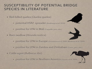 Disease ecology in multi-host systems at wildlife/livestock interfaces: Concepts and applications