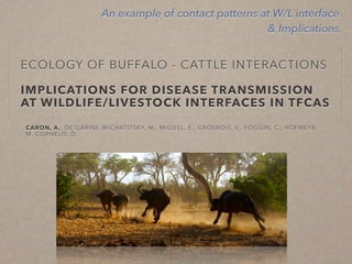 Disease ecology in multi-host systems at wildlife/livestock interfaces: Concepts and applications