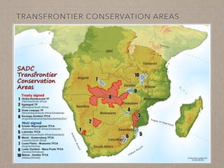 Disease ecology in multi-host systems at wildlife/livestock interfaces: Concepts and applications