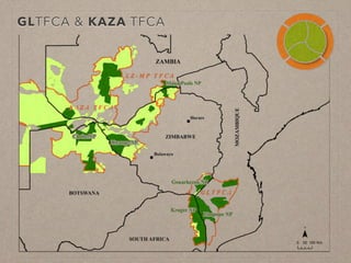 Disease ecology in multi-host systems at wildlife/livestock interfaces: Concepts and applications