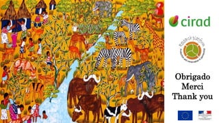 CIRAD in southern Africa