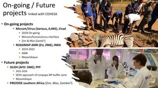 CIRAD in southern Africa