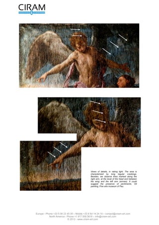 Version 2.0 du 16 mars 2012                                                            L’étude de tableau - Page 3 sur 12




                                                                Fig. 2 : Vues de détail, en lumière rasante. La
                                                                zone est caractérisée par de longues
                                                                craquelures régulières. De plus, on observe des
                                                                traits marqués le long du bras droit, au niveau
                                                                de la tête et entre l'aile et le bras gauche
                                                                (flèches). Ils pourraient suggérer la présence de
                                                                repentirs. Huile sur toile, Musée des beaux-Arts
                                                                de Pau.




                Europe - Phone +33 5 56 23 45 35 – Mobile +33 6 64 14 24 10 – contact@ciram-art.com
                           North America - Phone +1 917 509 5616 – info@ciram-art.com
                                              © 2012 - www.ciram-art.com
 