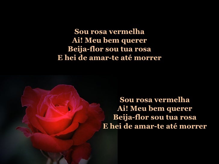 A Rosa E O Beija Flor Letra
