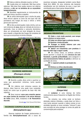  Pode as videiras afetadas à parte, no final.
 A poda deve ser moderada. Não faça cortes
extensos. Não deve fazer podas severas nas videiras
afetadas, a não ser na tentativa de as reconstituir
temporariamente.
 Desinfete regularmente os instrumentos de
poda com lixívia, durante o trabalho.
 Se utiliza destroçador para a lenha de poda,
deve triturar apenas as varas do ano (que não são
portadoras dos fungos da esca) e retirar a lenha
grossa para queimar.
 Se não usa destroçador, toda a lenha, com ou
sem sintomas de esca, deve ser retirada do terreno e
queimada. Caso se destine a consumo doméstico,
deve ser armazenada em local abrigado da chuva,
para impedir a dispersão dos fungos do complexo da
esca que se encontrem na lenha infetada.
Consulte aqui a Ficha Técnica nº 55 (I Série)
Sintomas de escoriose americana nas varas, no inverno
ESCORIOSE AMERICANA
(Phomopsis viticola)
MEDIDAS PREVENTIVAS
 Durante a poda, deve cortar e queimar as
varas que apresentem sintomas, tanto quanto
possível.
 Em videiras com sintomas severos da
doença, deve fazer-se uma poda mais comprida,
tendo em conta que os gomos da base não irão
rebentar.
 Deve reservar varas para enxertia apenas
em cepas isentas de escoriose e de outras doenças
do lenho (esca, BDA, eutipiose) e de flavescência
dourada.
Consulte aqui Ficha Técnica Nº 6 (II Série)
ESCORIOSE EUROPEIA (BLACK DEAD ARM)
(Botryosphaeria spp.)
Diversas espécies de fungos pertencentes à
família das Botryosphaeriaceae são a causa da
escoriose europeia, designada também como Black
Dead Arm (BDA). Os seus sintomas são bastante
semelhantes aos do síndrome da esca, o que tem
contribuído para a fazer passar despercebida.
Escoriose europeia (BDA) - sintomas no tronco - 
necrose longitudinal  necrose em “V”, caraterística da
doença, em corte transversal
(in https://www.maladie-du-bois-vigne.fr )
MEDIDAS PREVENTIVAS
 Podar o mais tarde possível, com tempo
seco e eliminar os ramos secos.
 Podar em último lugar as plantas doentes.
 Queimar a lenha de poda.
 Proteger as feridas maiores com uma
pasta fungicida (pasta cúprica).
 Aplicar um tratamento com produtos à
base de cobre logo a seguir à poda.
 Em vinhas novas, as práticas culturais
devem permitir a criação de uma estrutura de solo
favorável, a grande profundidade, para assegurar o
bom funcionamento hídrico da planta e diminuir as
condições de stress.
 Ter especial cuidado na proteção dos
viveiros.
 Eliminar as vinhas abandonadas.
Sintomas de eutipiose na primavera
(https://www.plantmanagementnetwork.org)
EUTIPIOSE
(Eutypa lata)
A eutipiose é uma doença do lenho
relativamente pouco frequente na Região dos Vinhos
Verdes.
No entanto, nas vinhas onde se tenham
detetado videiras infetadas, a poda deve ser feita o
mais tarde possível, quando a videira estiver já em
atividade (quando as varas cortadas "choram"), pois
esta secreção de seiva protege os cortes de poda da
contaminação pela eutipiose.
PascalLecomte
 
B
CarlosCoutinho
 