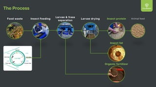 Faat Insect Innovative Insect Farming for Sustainable Food Waste Management and ...