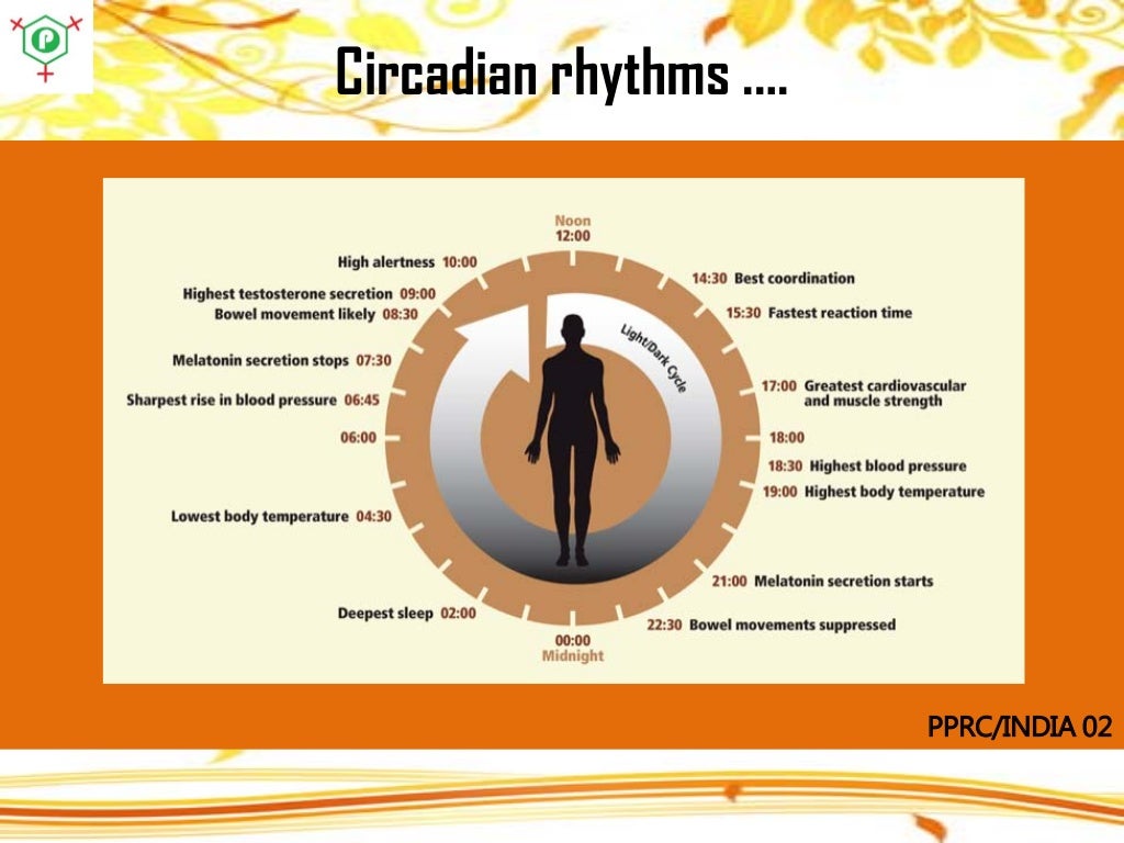 Circadian rhythms