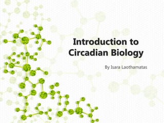 Introduction to
Circadian Biology
By Isara Laothamatas
 