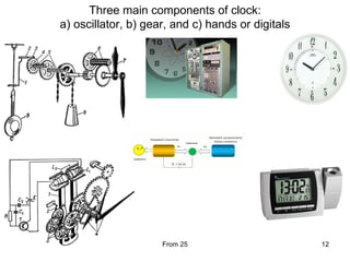 Circadian clock in mammals | PPT