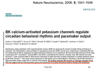Circadian clock in mammals | PPT
