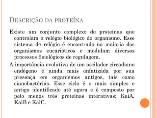 DESCRIÇÃO DA PROTEÍNA
Existe um conjunto complexo de proteínas que
  controlam o relógio biológico do organismo. Esse
  sistema de relógio é encontrado na maioria dos
  organismos eucarióticos e modulam diversos
  processos fisiológicos de regulagem.
A importância evolutiva de um oscilador circadiano
  endógeno é ainda mais enfatizada por sua
  presença em organismos antigos, tais como
  cianobactérias. Esse ciclo é o mais simples e
  antigo identificado até agora e é composto por
  pelo menos três proteínas interativas: KaiA,
  KaiB e KaiC.
 