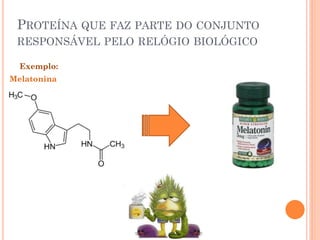 PROTEÍNA QUE FAZ PARTE DO CONJUNTO
 RESPONSÁVEL PELO RELÓGIO BIOLÓGICO

  Exemplo:
Melatonina
 