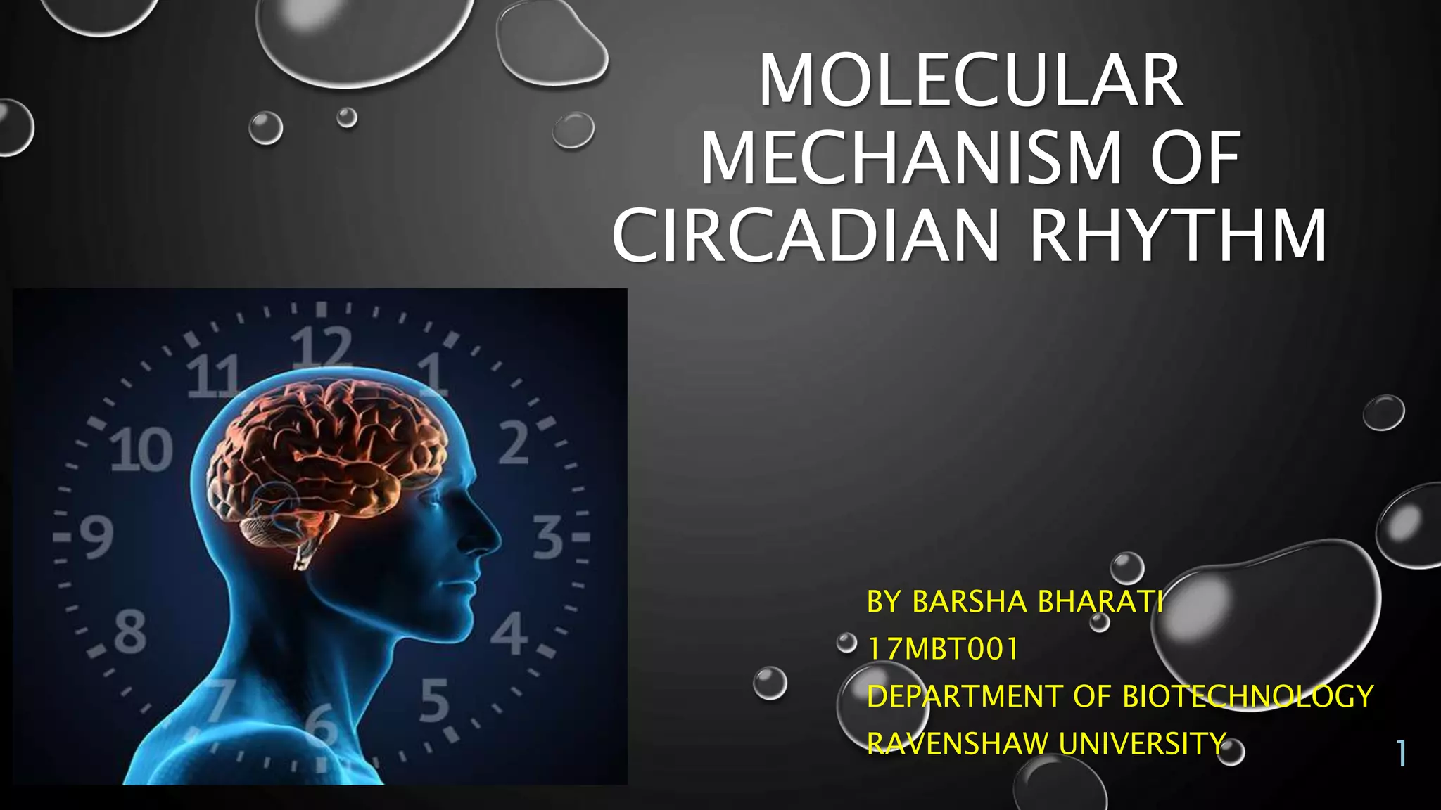 Molecular Mechanism of Circadian rhythm | PPTX