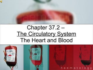 Chapter 37.2 –  The Circulatory System The Heart and Blood 