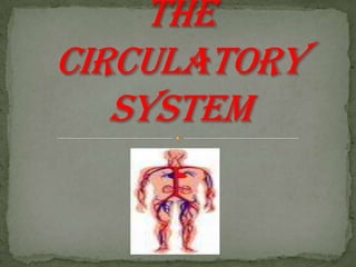 Introduction to the circulatory system 
