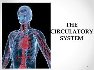 THE
CIRCULATORY
SYSTEM

 