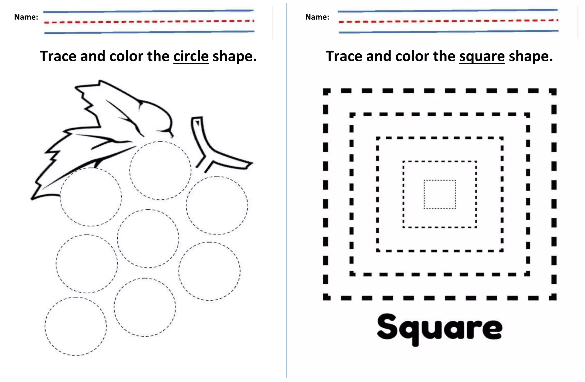 circle and square ACT..docx