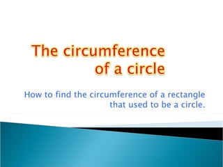How to find the circumference of a rectangle that used to be a circle. 