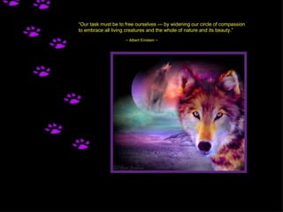 “ Our task must be to free ourselves — by widening our circle of compassion to embrace all living creatures and the whole of nature and its beauty.”  ~ Albert Einstein ~ 