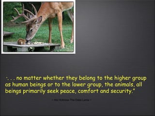 “ . . . no matter whether they belong to the higher group as human beings or to the lower group, the animals, all beings primarily seek peace, comfort and security.”   ~ His Holiness The Dalai Lama ~ 