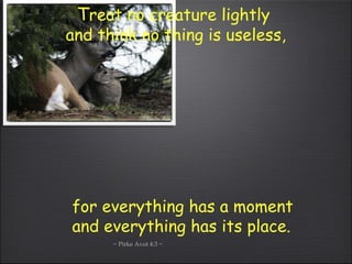 T reat no creature lightly  and think no thing is useless, for everything has a moment  and everything has its place.   ~ Pirke Avot 4:3 ~ 