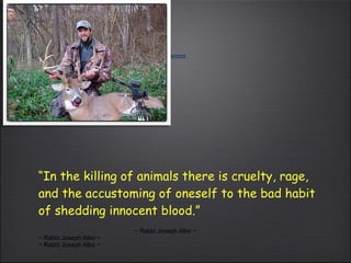 “ In the killing of animals there is cruelty, rage, and the accustoming of oneself to the bad habit of shedding innocent blood.”  ~ Rabbi Joseph Albo ~ ~ Rabbi Joseph Albo ~ ~ Rabbi Joseph Albo ~ 