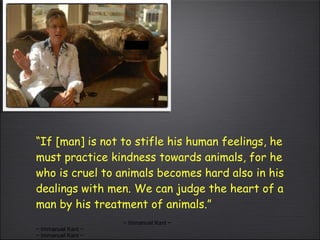 “ If [man] is not to stifle his human feelings, he must practice kindness towards animals, for he who is cruel to animals becomes hard also in his dealings with men. We can judge the heart of a man by his treatment of animals.”  ~ Immanuel Kant ~ ~ Immanuel Kant ~ ~ Immanuel Kant ~ 