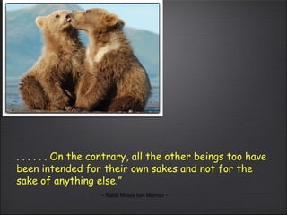 . . . . . . On the contrary, all the other beings too have been intended for their own sakes and not for the sake of anything else.”  ~ Rabbi Moses ben Maimon ~ 