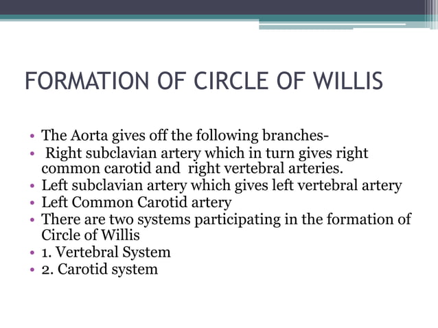 Circle of willis | PDF