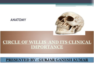  
ANATOMY
CIRCLE OF WILLIS AND ITS CLINICAL
IMPORTANCE
PRESENTED BY - GURJAR GANESH KUMAR
 