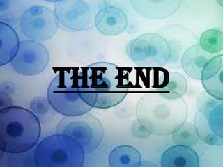THE END

 