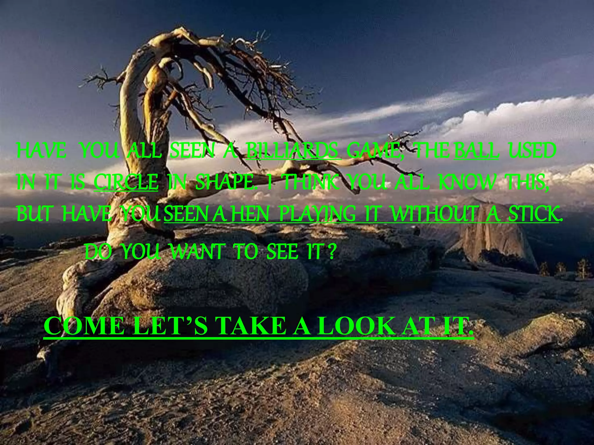 HAVE YOU ALL SEEN A BILLIARDS GAME, THE BALL USED
IN IT IS CIRCLE IN SHAPE. I THINK YOU ALL KNOW THIS,
BUT HAVE YOU SEEN A HEN PLAYING IT WITHOUT A STICK.
DO YOU WANT TO SEE IT ?
COME LET’S TAKE A LOOK AT IT.
 