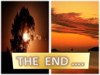 Circles - Maths project