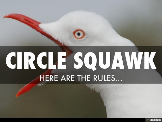 Circle Squawk