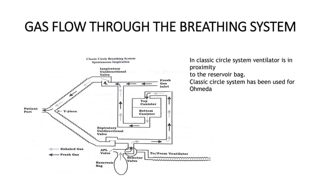 CIRCLE SYSTEM.pptx