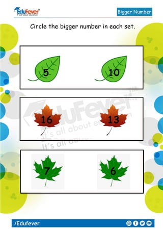 Circle the Bigger Number LKG Worksheet | PDF