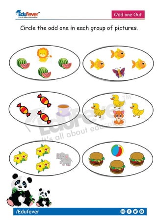 circle the odd one out lkg worksheet