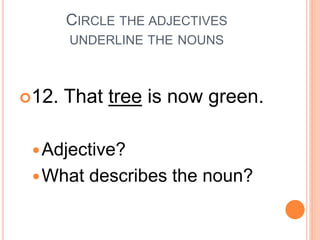 CIRCLE THE ADJECTIVES
UNDERLINE THE NOUNS
12. That tree is now green.
Adjective?
What describes the noun?
 