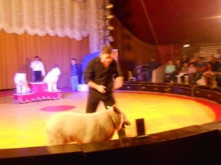 Projeto Circo na Escola