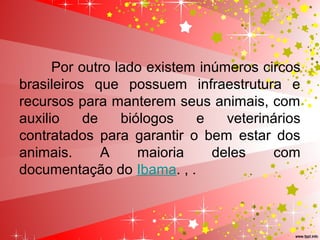 Por outro lado existem inúmeros circos 
brasileiros  que  possuem  infraestrutura  e 
recursos para manterem seus animais, com 
auxilio  de  biólogos  e  veterinários 
contratados  para  garantir  o  bem  estar  dos 
animais.  A  maioria  deles  com 
documentação do Ibama. , .
 