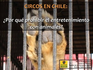 CIRCOS EN CHILE:

¿Por qué prohibir el entretenimiento
           con animales?




                                     Moryn Vivallo Aravena
                                         Carrera de Derecho
                           Gestión de la Información Digital
                                  Profesor Pablo Coronado
 
