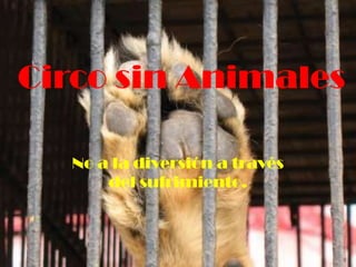 Circo sin Animales

  No a la diversión a través
      del sufrimiento.
 