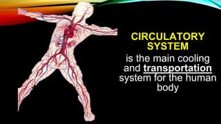 CIRCULATORY
SYSTEM
is the main cooling
and transportation
system for the human
body
 