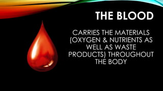 THE BLOOD
CARRIES THE MATERIALS
(OXYGEN & NUTRIENTS AS
WELL AS WASTE
PRODUCTS) THROUGHOUT
THE BODY
 