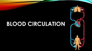 BLOOD CIRCULATION
 