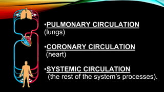•PULMONARY CIRCULATION
(lungs)
•CORONARY CIRCULATION
(heart)
•SYSTEMIC CIRCULATION
(the rest of the system’s processes).
 
