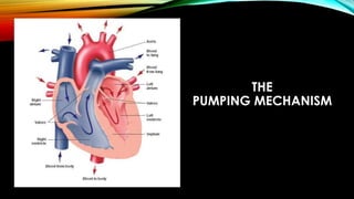 THE
PUMPING MECHANISM
 