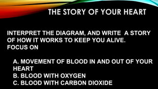 THE STORY OF YOUR HEART
INTERPRET THE DIAGRAM, AND WRITE A STORY
OF HOW IT WORKS TO KEEP YOU ALIVE.
FOCUS ON
A. MOVEMENT OF BLOOD IN AND OUT OF YOUR
HEART
B. BLOOD WITH OXYGEN
C. BLOOD WITH CARBON DIOXIDE
 