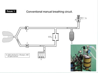Conventional manual breathing circuit.
 